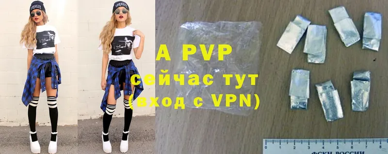 A PVP VHQ  Шенкурск 